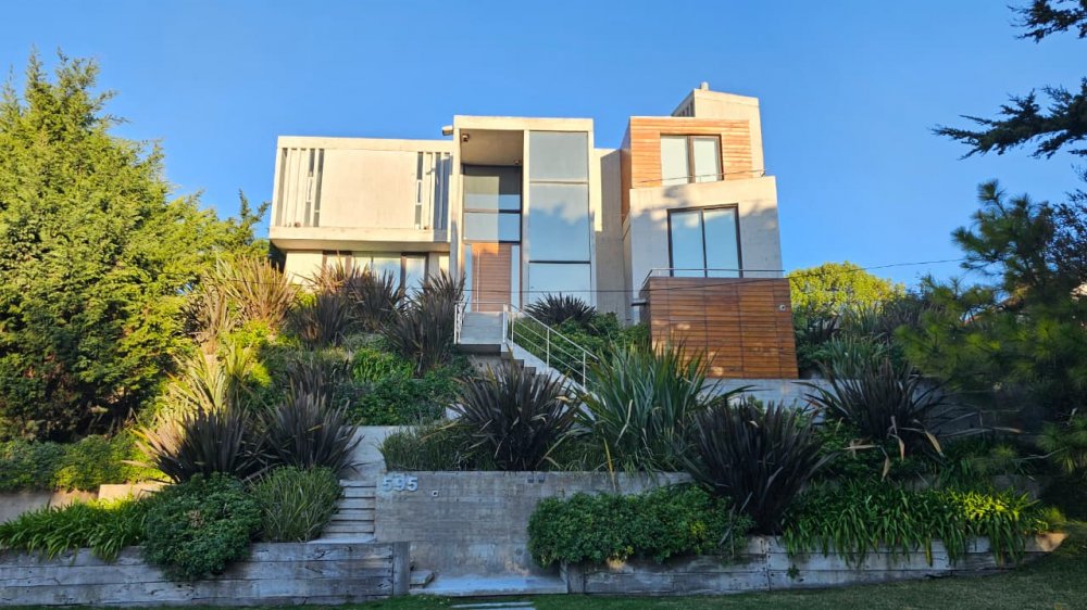 BURRIQUETAS  Y  LANGOSTINOS